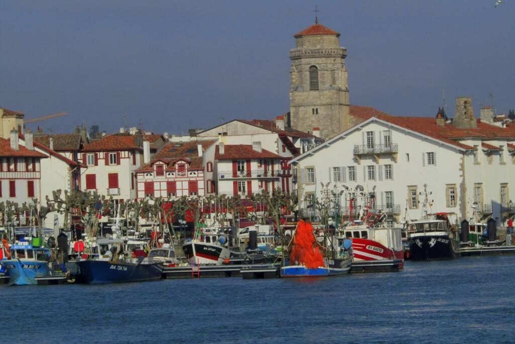 Maison Individuelle Cote Basque Ciboure Kültér fotó